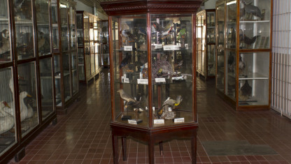 imagen Historia del Museo