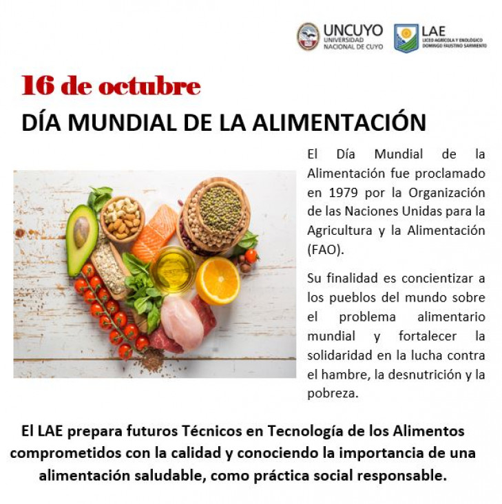 imagen Día de la Alimentación