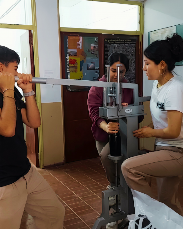 imagen  NUEVO EQUIPAMIENTO PARA LA ELABORACIÓN DE ESPUMANTES EN EL LAE