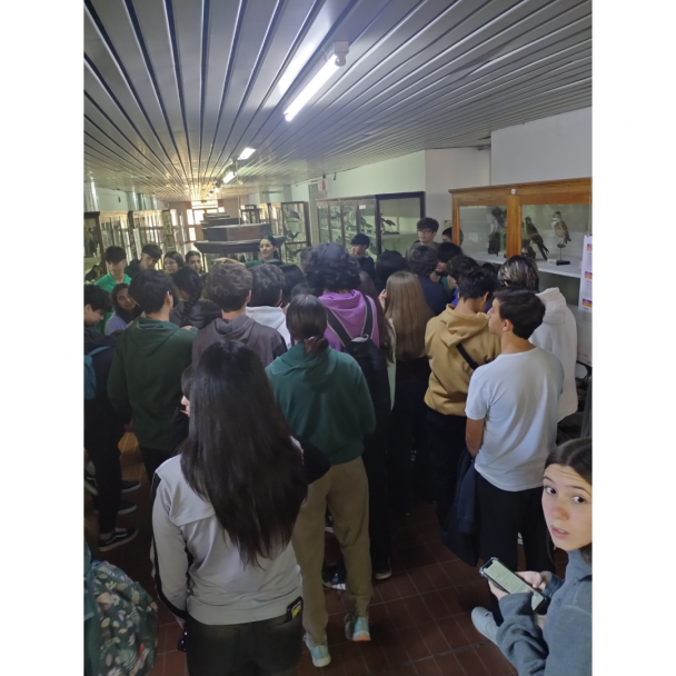 imagen CELEBRACIÓN DE NUESTRO MUSEO DE CIENCIAS NATURALES JOSÉ LORCA