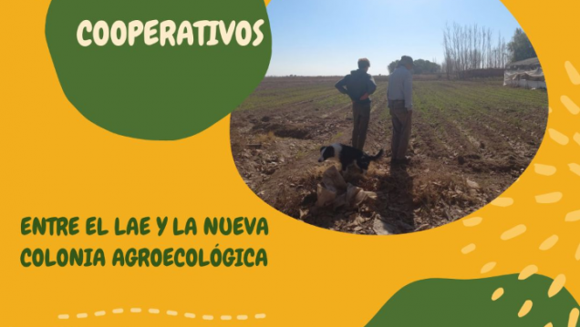 imagen DIÁLOGOS COOPERATIVOS ENTRE EL LAE Y LA NUEVA COLONIA AGROECOLÓGICA
