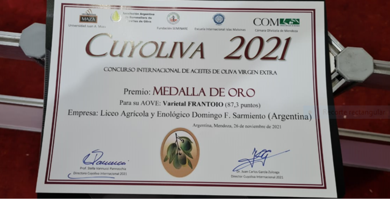 imagen MEDALLA DE ORO PARA EL ACEITE DE OLIVA DEL LAE