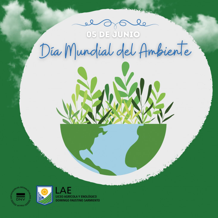 imagen 5 DE JUNIO DÍA MUNDIAL DEL AMBIENTE