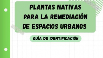 imagen Planta Nativas para la remediación  de espacios urbanos