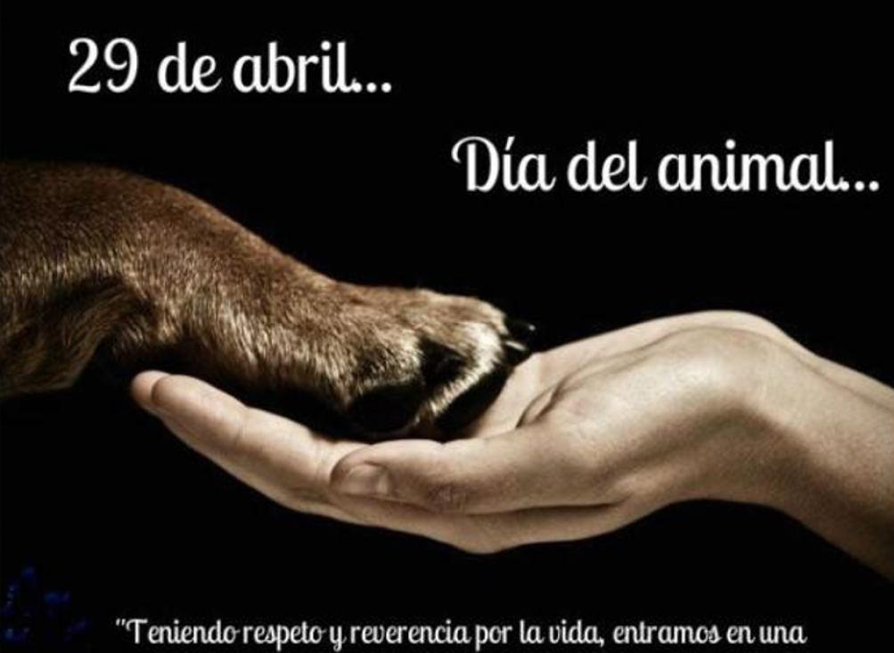 imagen DÍA DEL ANIMAL