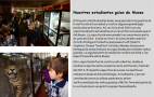 imagen Actividades