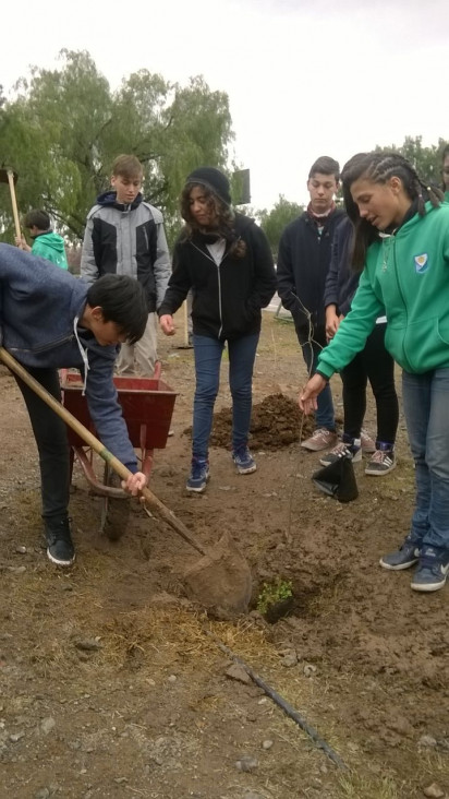 imagen Día del Árbol- 29 de Agosto