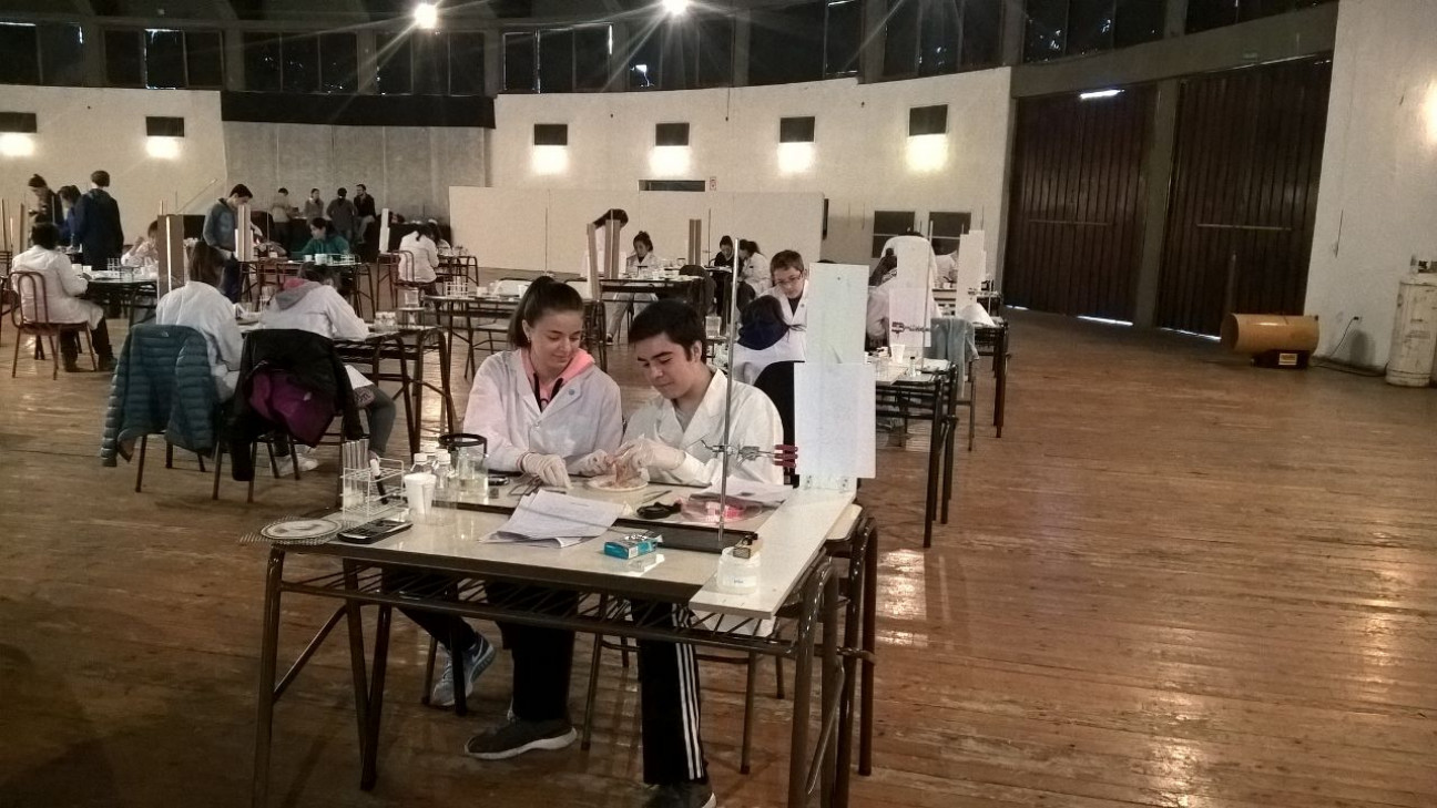 imagen Los estudiantes del LAE siguen dando la nota!!! Esta vez, Olimpiadas de Ciencias Junior-UNCuyo