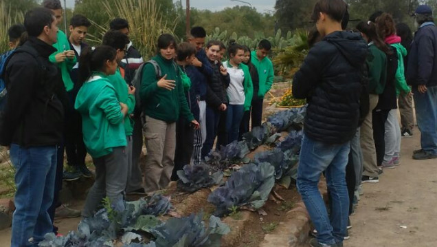 imagen Técnicos del ISCAMEN en el marco del  Taller de Huerta Orgánica trabajaron con estudiantes sobre el Manejo Integrado de Plagas.