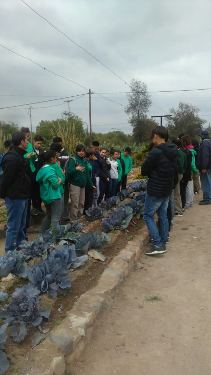 imagen Técnicos del ISCAMEN en el marco del  Taller de Huerta Orgánica trabajaron con estudiantes sobre el Manejo Integrado de Plagas.