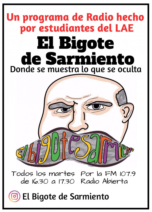 imagen EL BIGOTE DE SARMIENTO